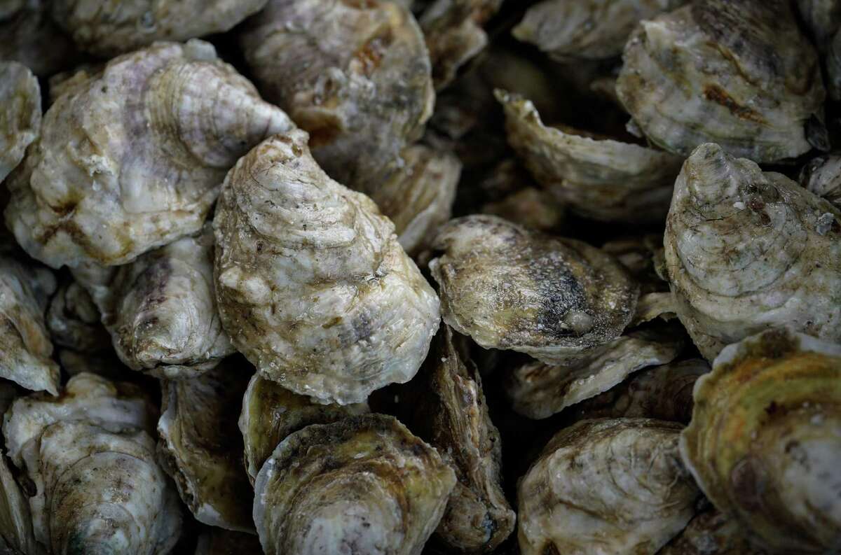 Galveston Bay oysters in Houston? Fatherdaughter duo tackles it