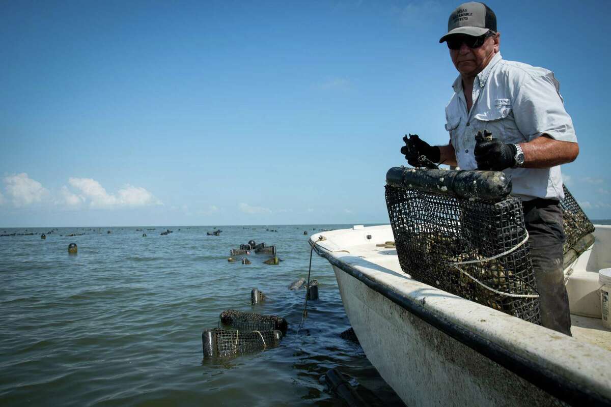 Galveston Bay oysters in Houston? Fatherdaughter duo tackles it