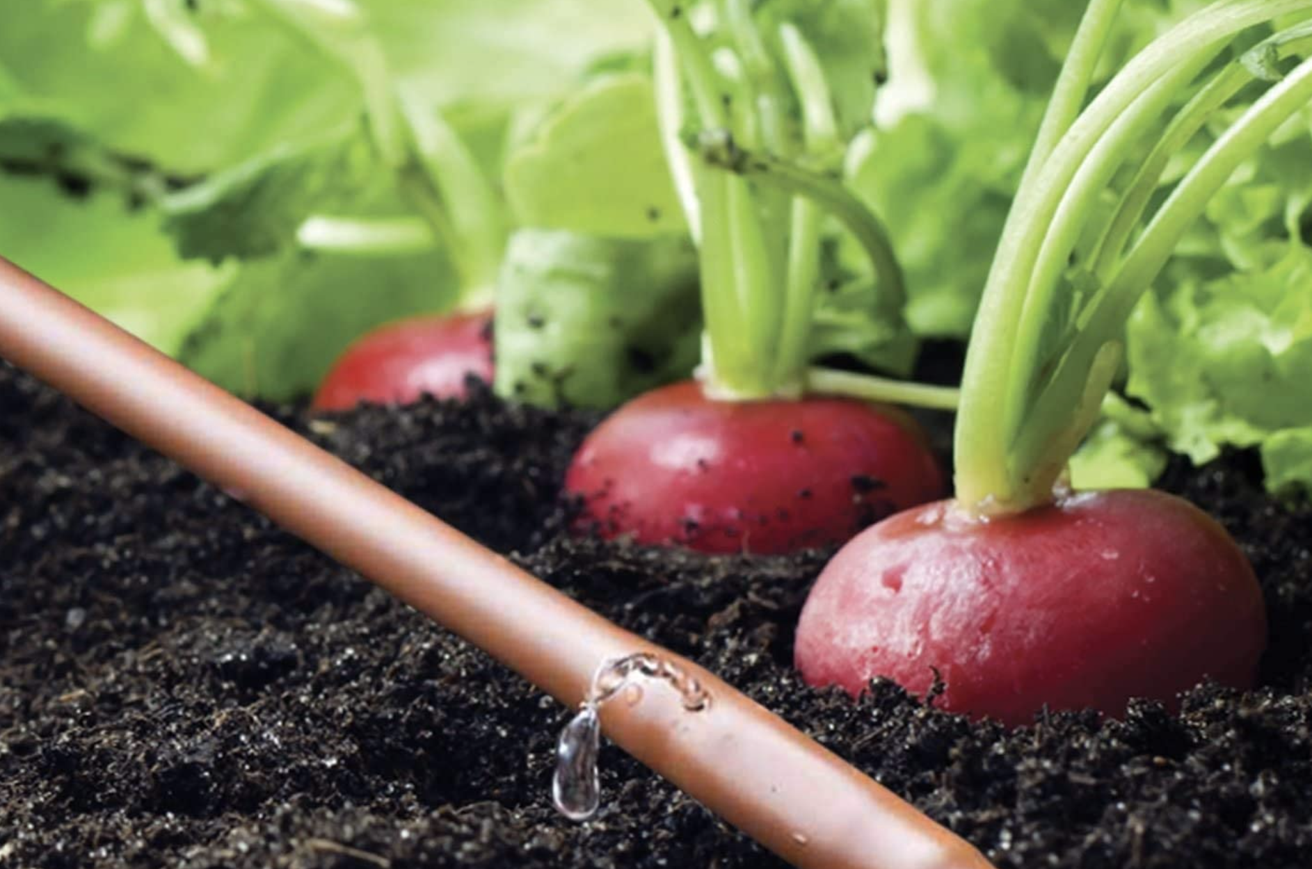 drip irrigation systems