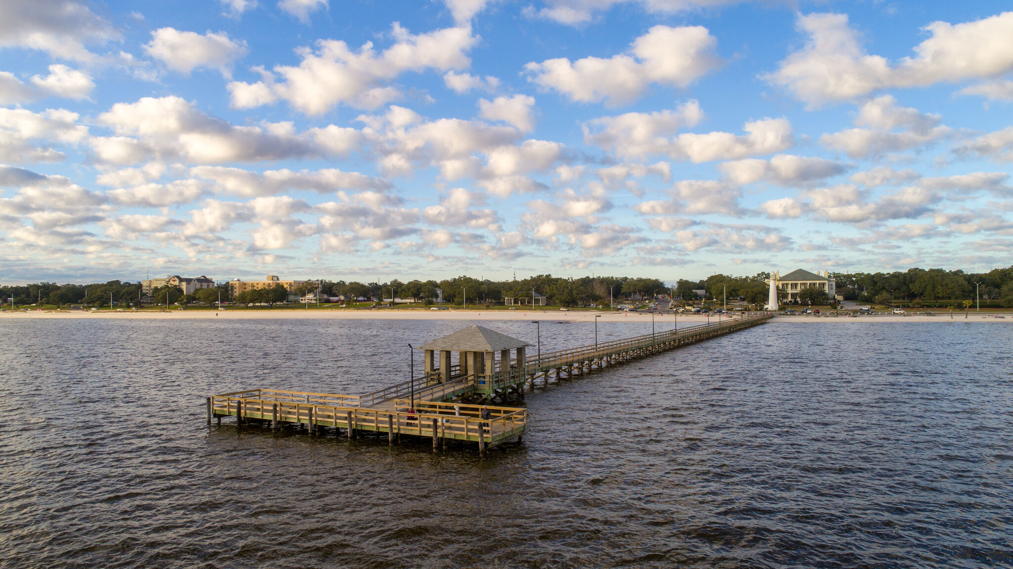 CDC ‘Rare and serious’ diseasecausing bacterium found in Gulf Coast
