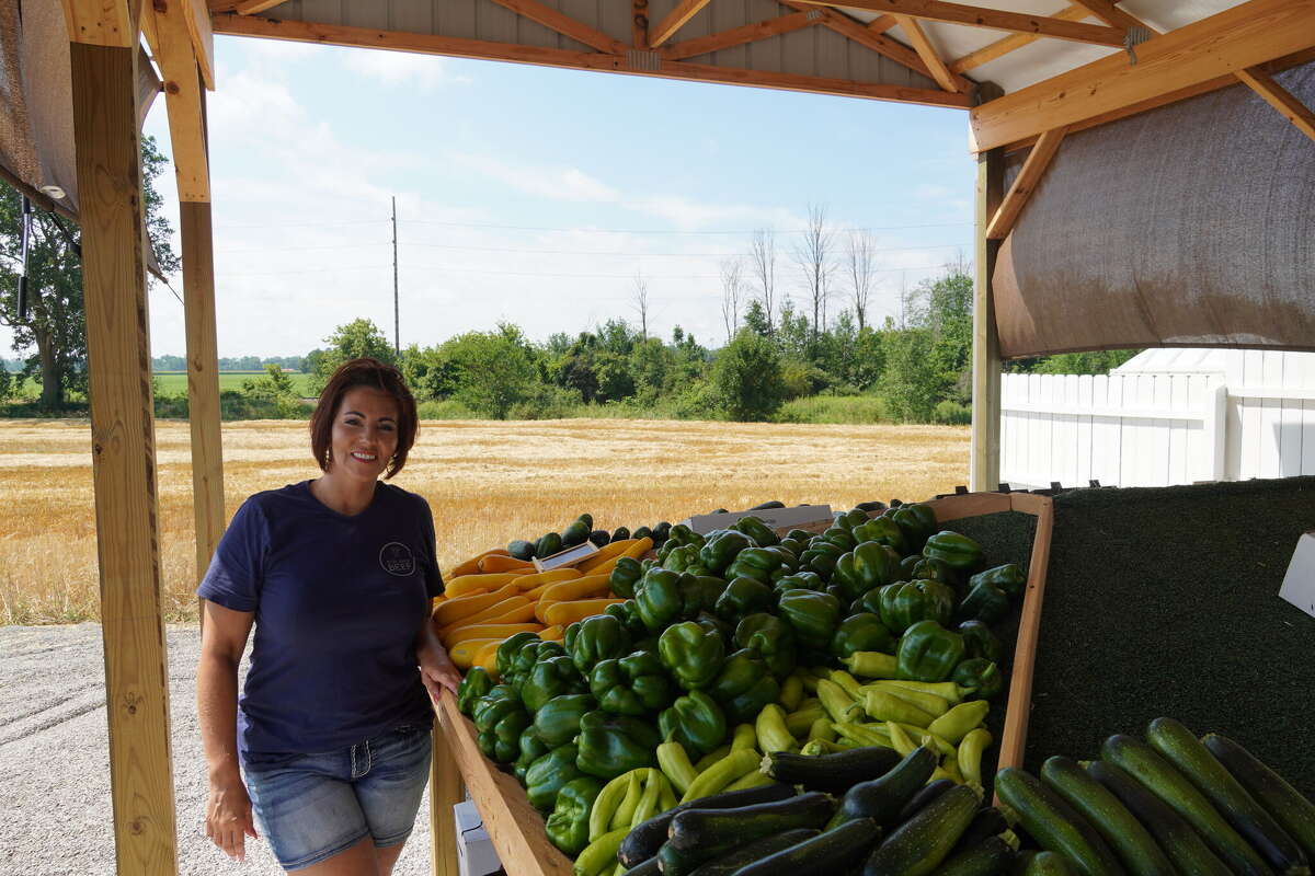 Blue Lakes Beef Corp opens in Elkton, bringing fresh produce to community