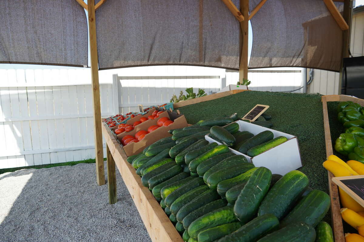 Blue Lakes Beef Corp opens in Elkton, bringing fresh produce to community