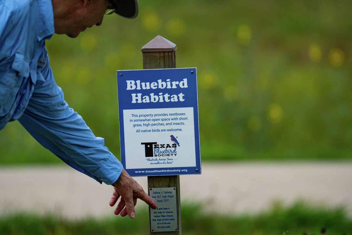 David Sharp, chairman of the Exploration Green Conservancy, points out a sign about the bluebird boxes at the park. They are built for Eagle Scout projects and one scout returns regularly to maintain them; they affectionately call him the "Bluebird Landlord."