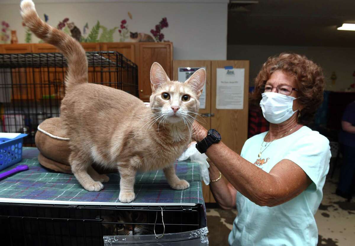 Branford Compassion Club marks 25th year with special events