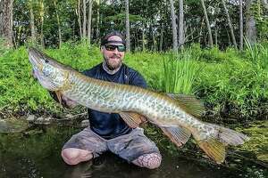 CT angler catches rare 26-pound tiger muskie in Lake Lillinonah