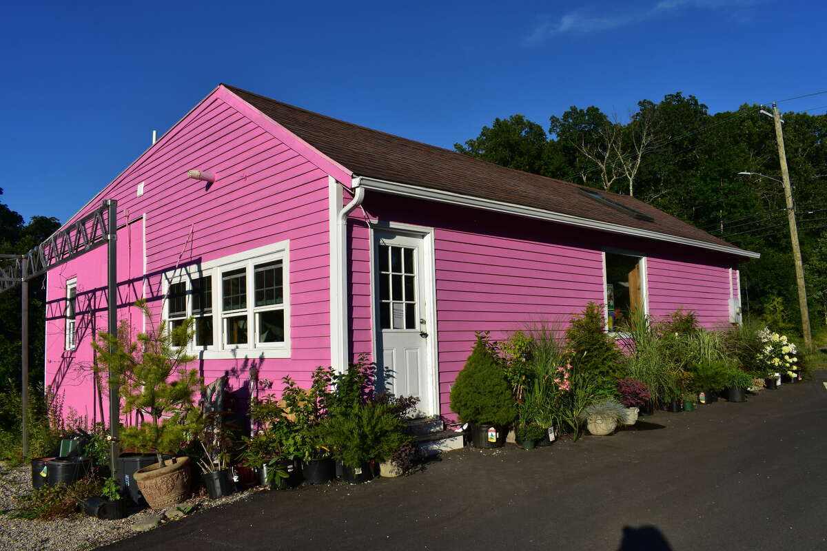 Jessica's Garden
