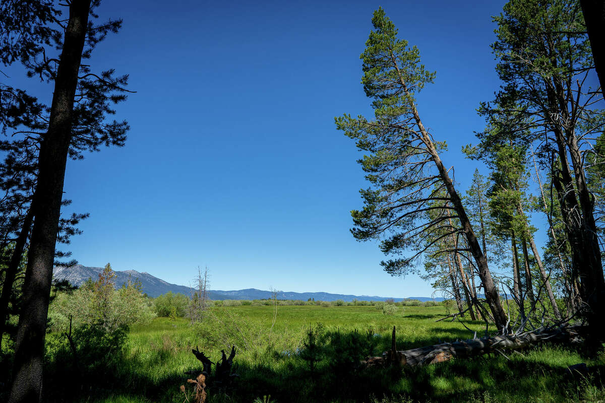 The Upper Truckee Marsh is one of Lake Tahoe's most critical ecosystems and its largest wetland. Marshes also store carbon and help fight climate change.