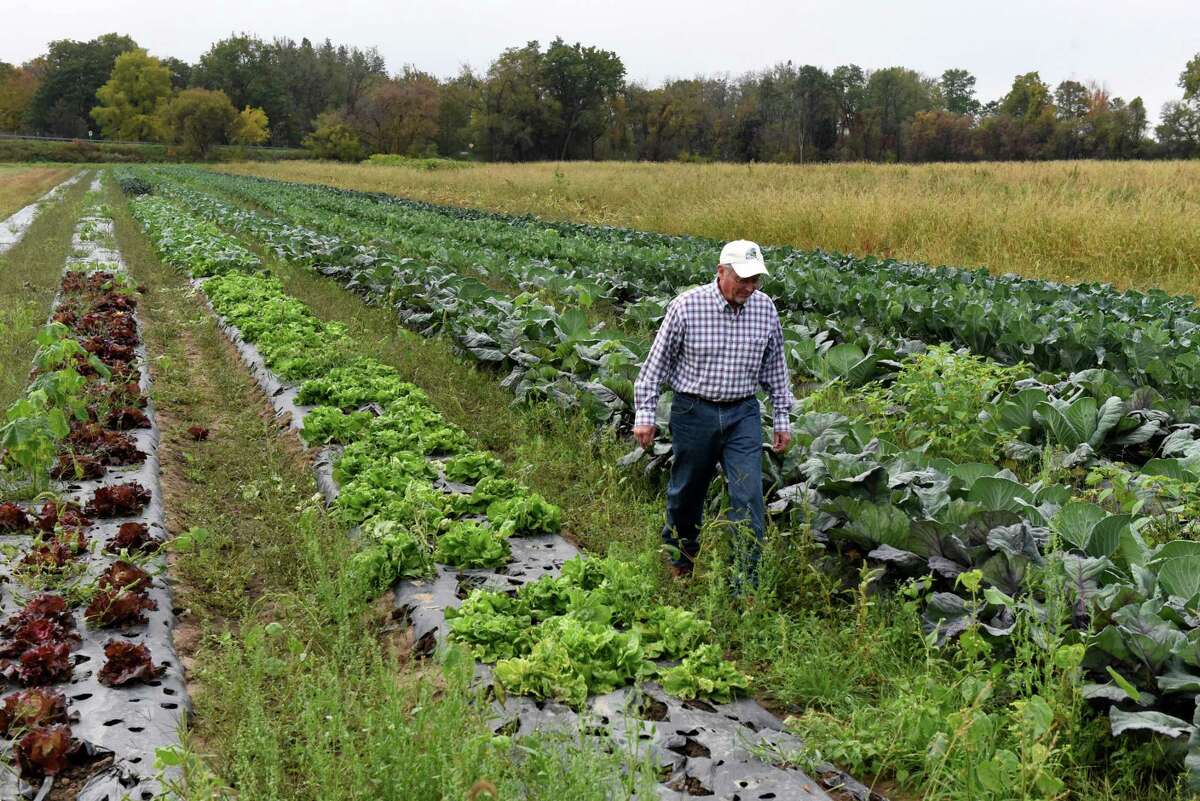 An Albany-area farm owned by the commissioner of the New York State Department of Agriculture Richard Ball, pictured. In neighboring Connecticut, Enko Chem has raised $140 million to use artificial intelligence in developing new herbicides and pesticides to improve farm yields. (Will Waldron/Times Union)