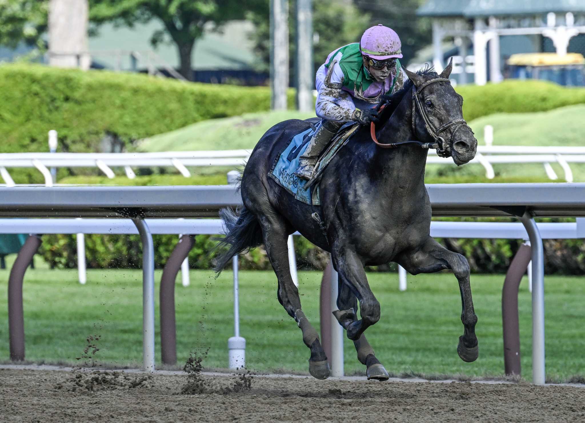 Brown sends three after Saratoga's crown jewel - Vimarsana News