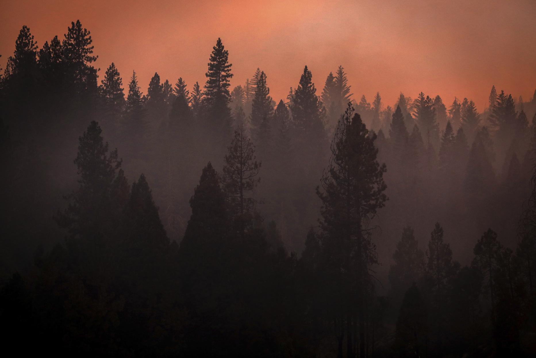 August used to be the perfect month for California’s High Sierra. It’s all different with climate change