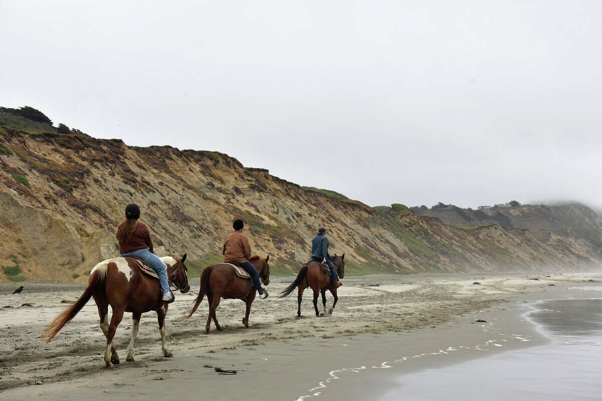 A horseback ride through Fort Funston from Mar Vista Stables on Friday, July 29.
