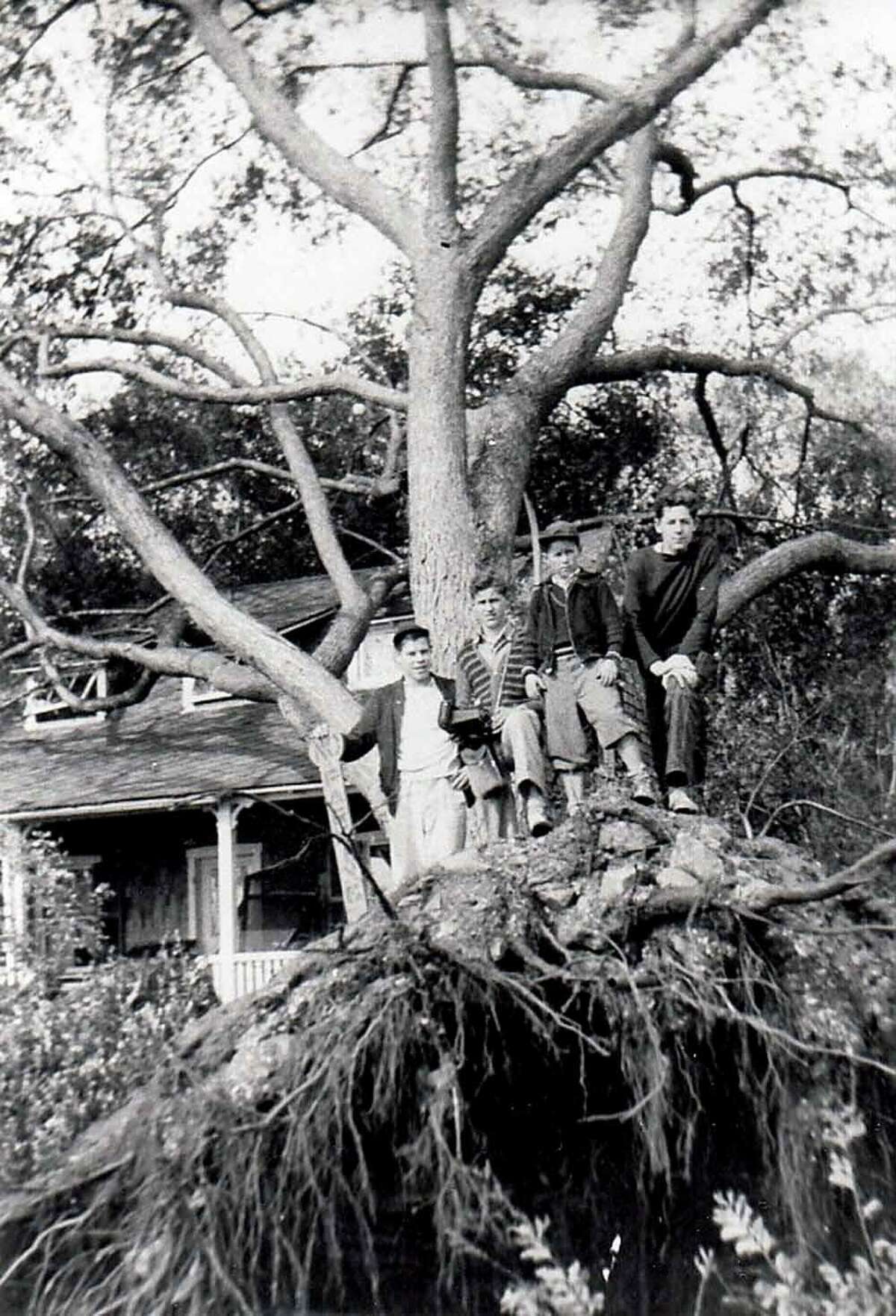 Stony Creek youth in the wake of the Hurricane of 1938.