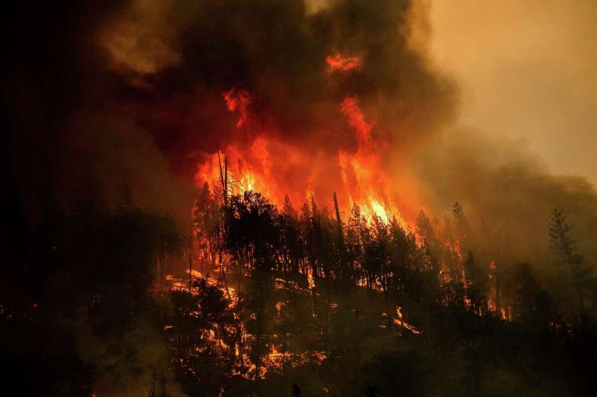 Flames from the McKinney Fire consume trees along state Highway 96 in the Klamath National Forest in Siskiyou County.
