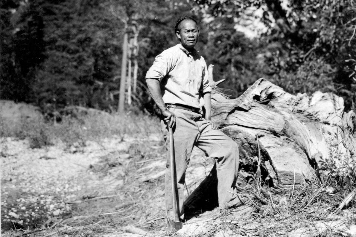 Tie Sing, the famous head chef of the U.S. Geological Survey, works at Yosemite National Park in 1909.