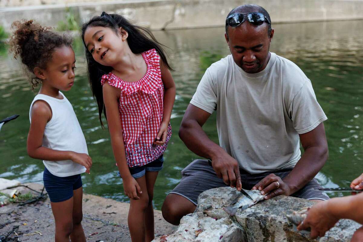 Four-year-old Anabele Guzman, from left, and Irene Gonzalez, 6, watch Pedro Guzman fillet a small tilapia beside the San Antonio River in Brackenridge Park Thursday evening, July 28, 2022. The girls were simultaneously intrigued and disgusted as they watched Pedro handle the fish.