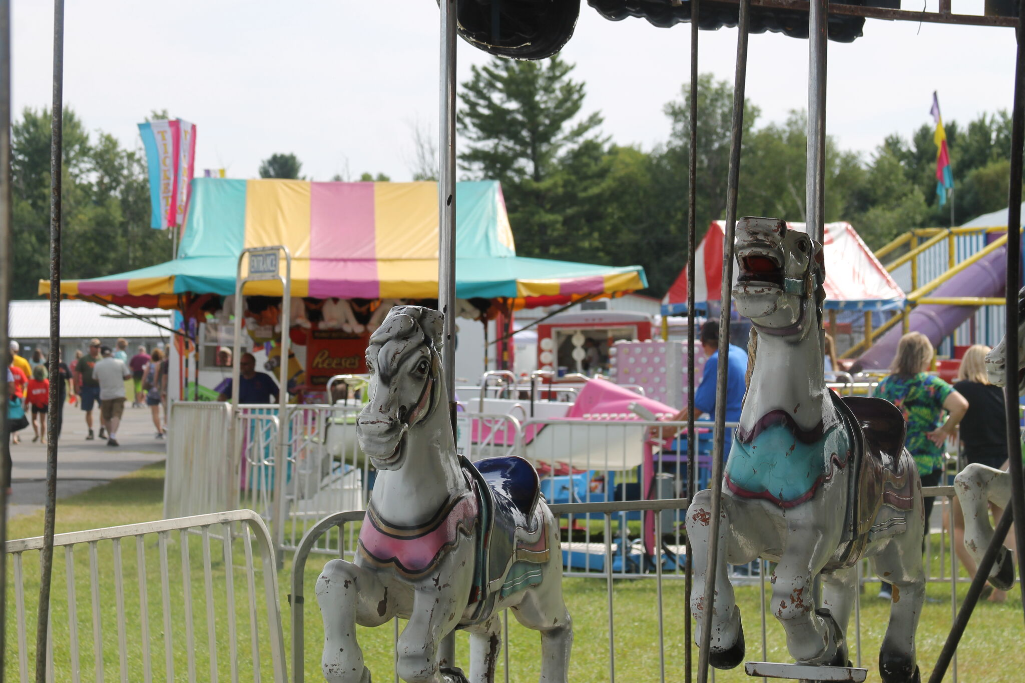 Here's what to expect for Manistee County Fair's carnival - Vimarsana News