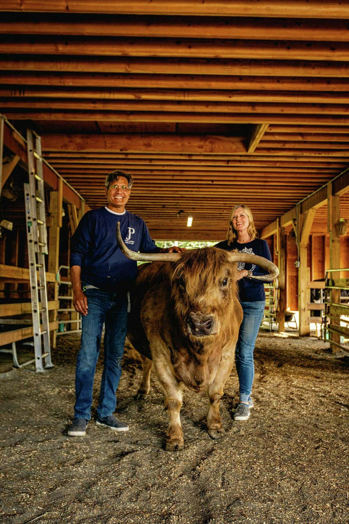 Belle is one of the two original Scottish Highland cattle that won Oscar and Lynn’s hearts, inspiring them to start the sanctuary.