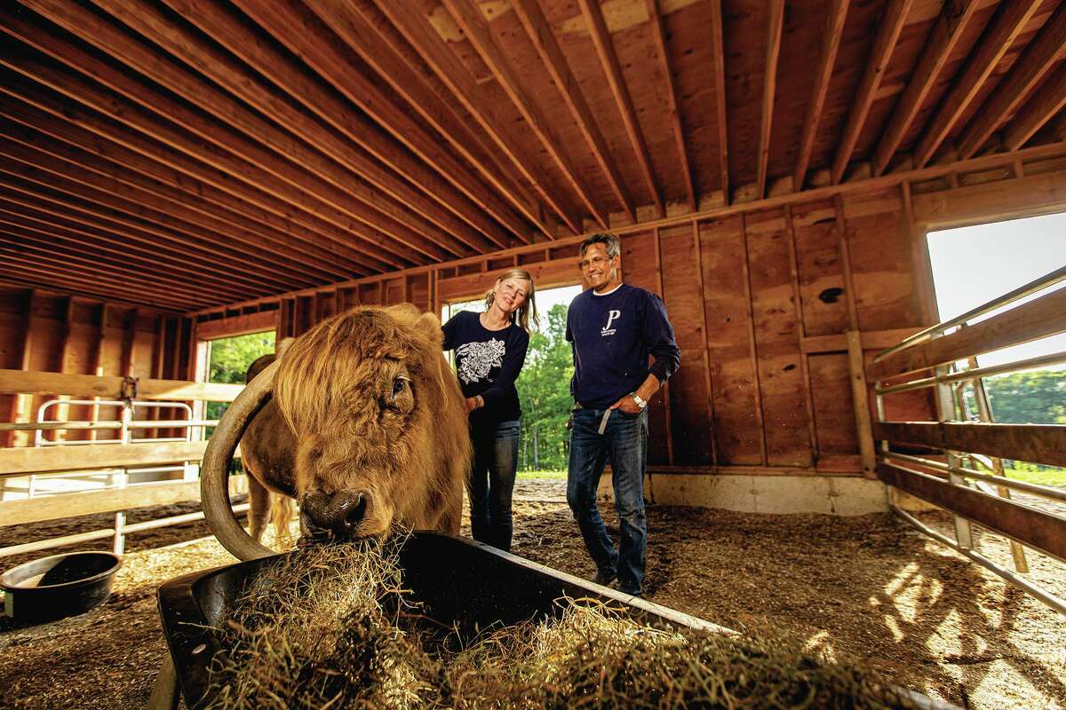This Litchfield couple created a refuge for neglected animals in need of a  home