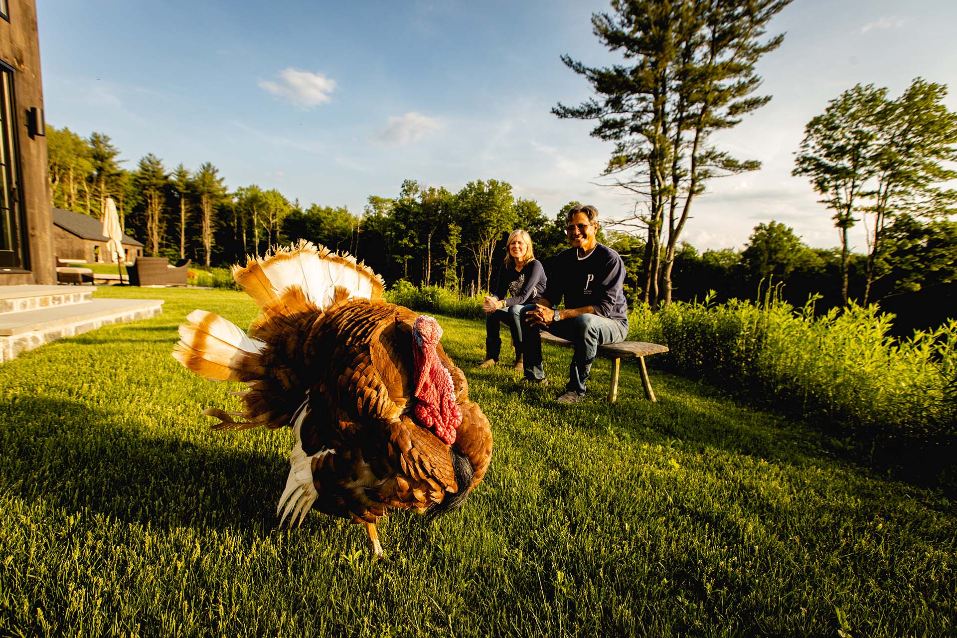 Six CT animal stories to celebrate National Pet Day