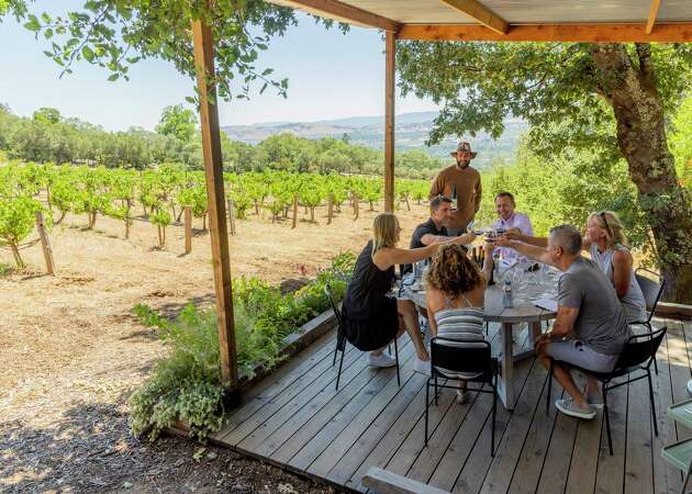 Story photo for Top Sonoma County Wineries