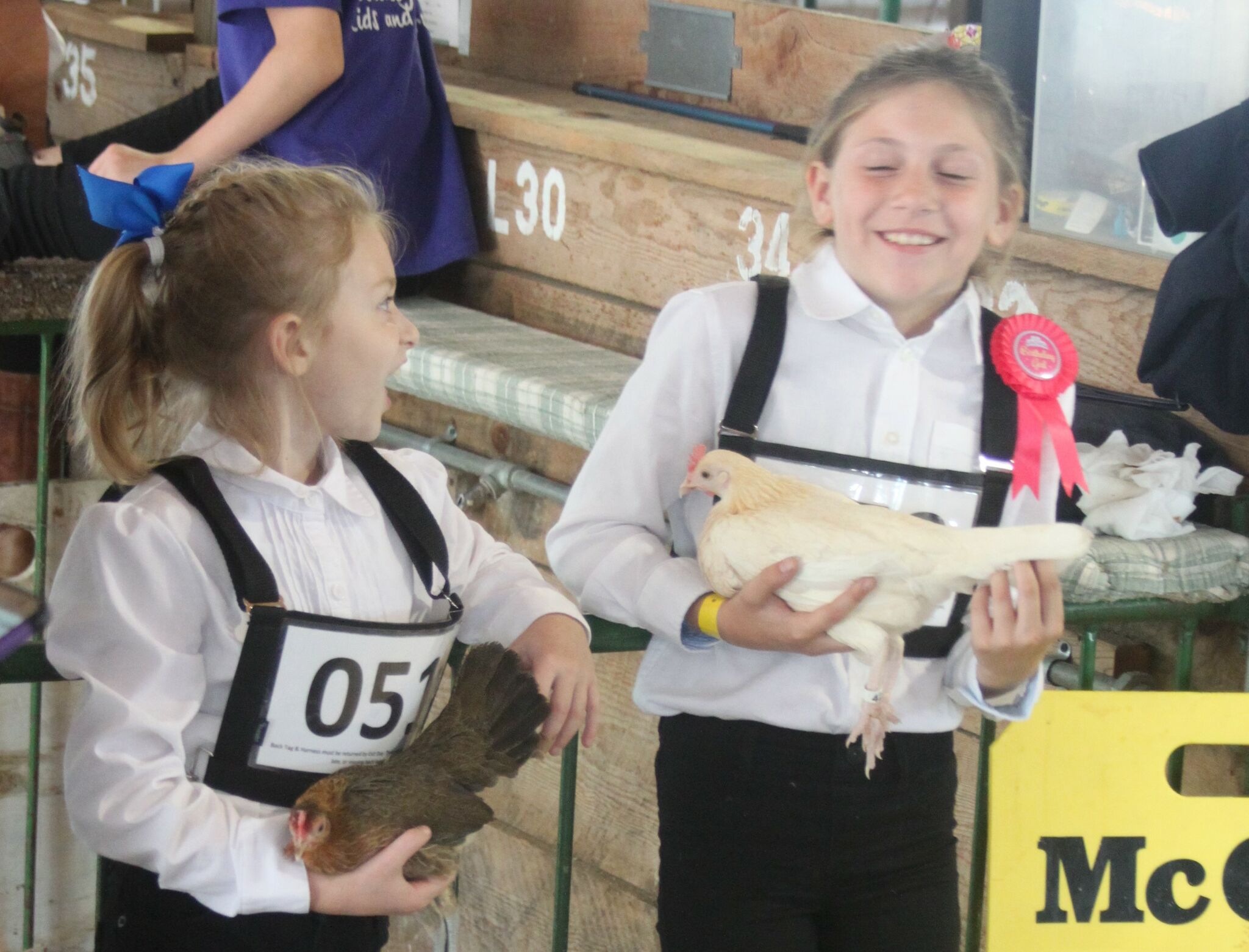 4-H planning for full schedule during Manistee County Fair - Vimarsana News