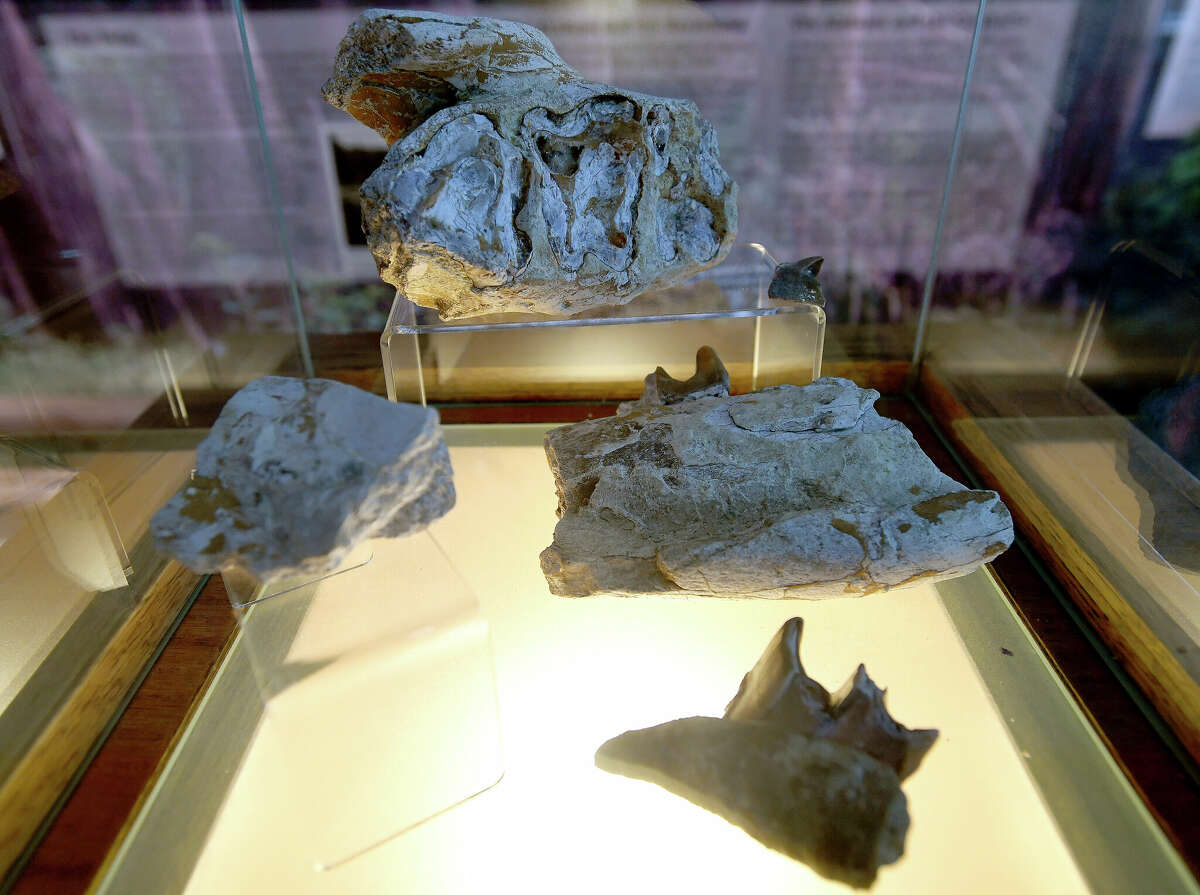 Silsbee Ice House Museum has a locally discovered prehistoric fossil