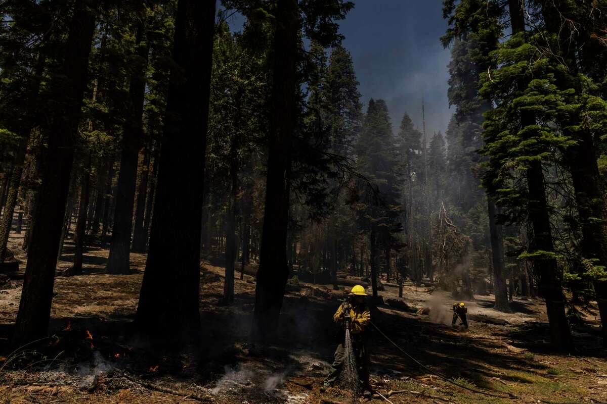 Firefighters Matt Shibuya, left, and Kannon Romero with the U.S. Forest Service Cleveland National Forest unit mop up hotspots in Mariposa Grove while battling the Washburn Fire in Yosemite on July 11.