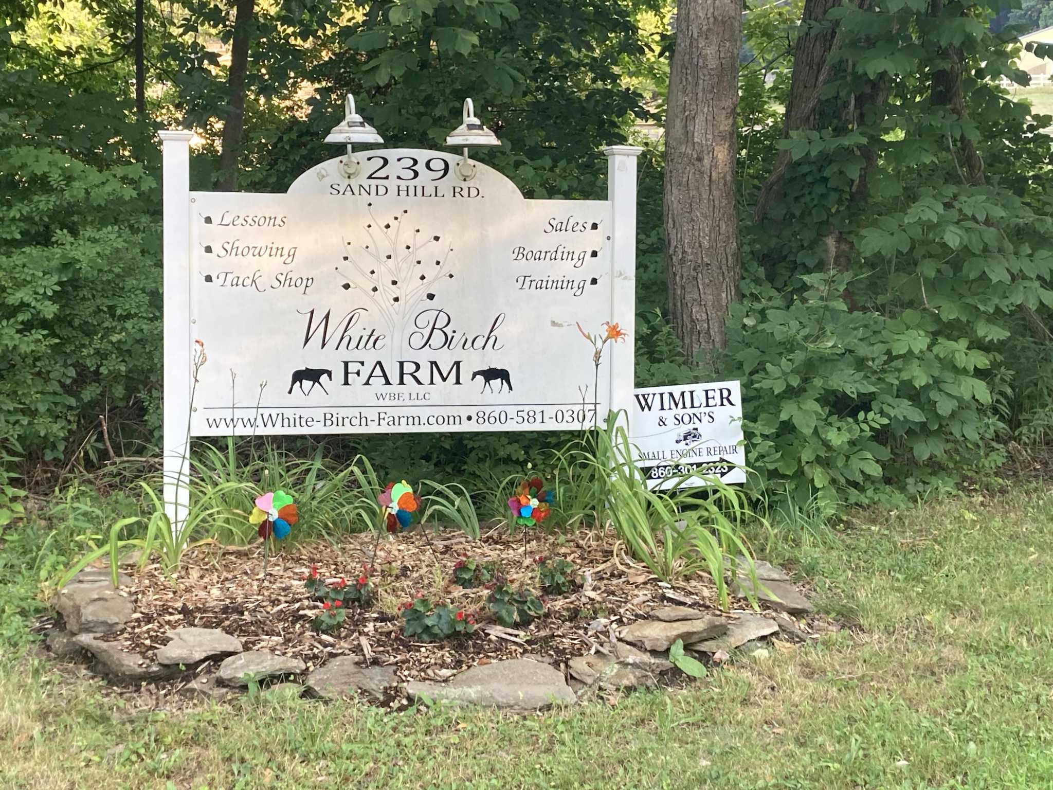 CT farm where horses were allegedly abused tied to murder plot - Vimarsana News