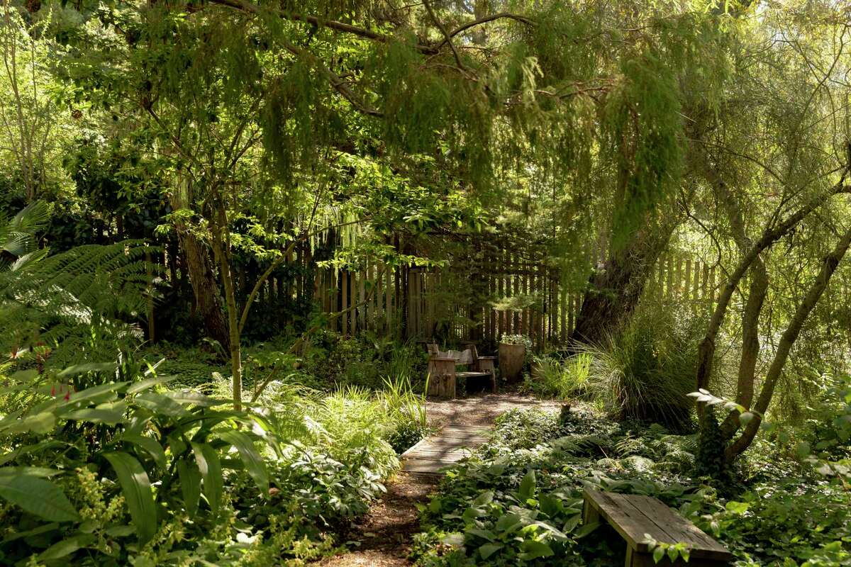 Narrow paths wind through thick greenery at Western Hills Garden in Occidental, Calif.  Friday, July 15, 2022.