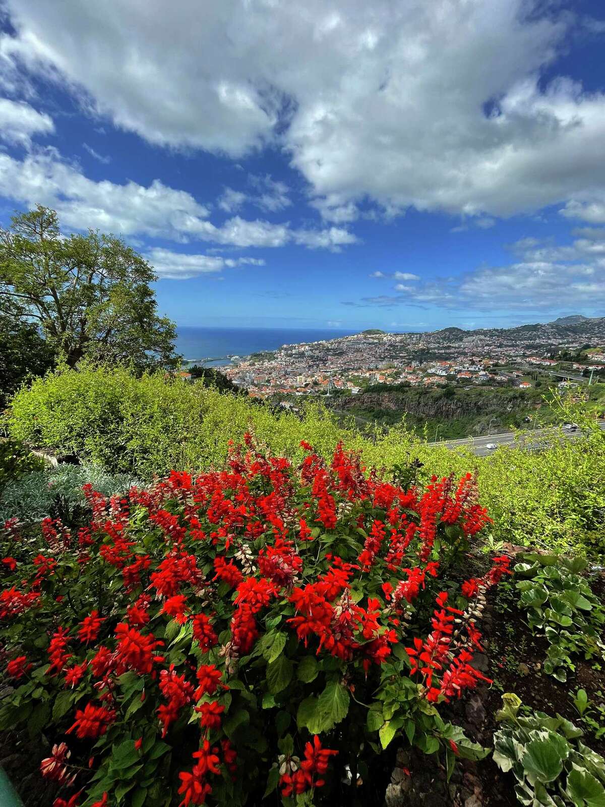 The Madeira Botanical Garden is one of Funchal's main tourist attractions.