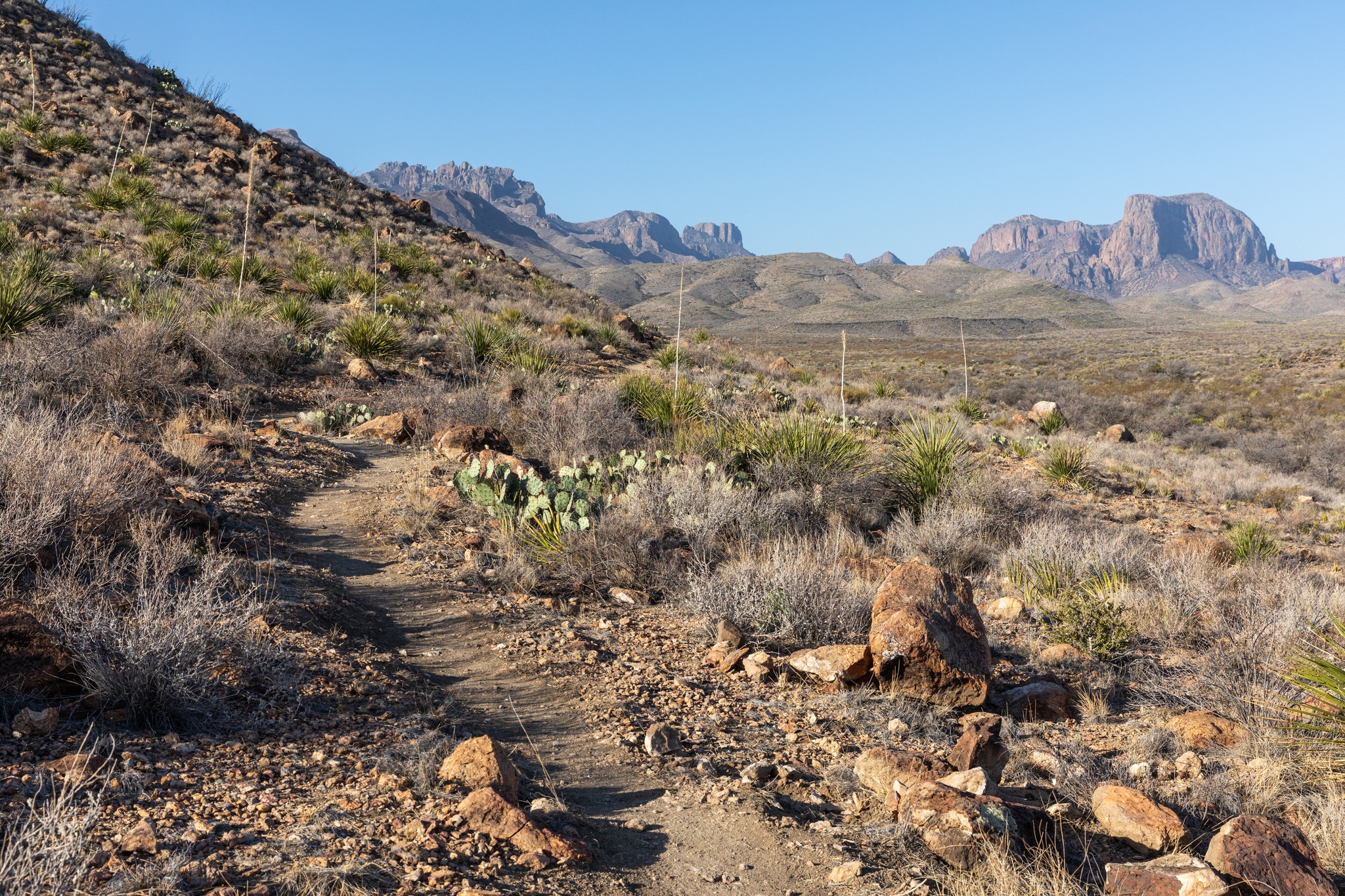 Big Bend National Park Opens New 3-mile Hiking Trail