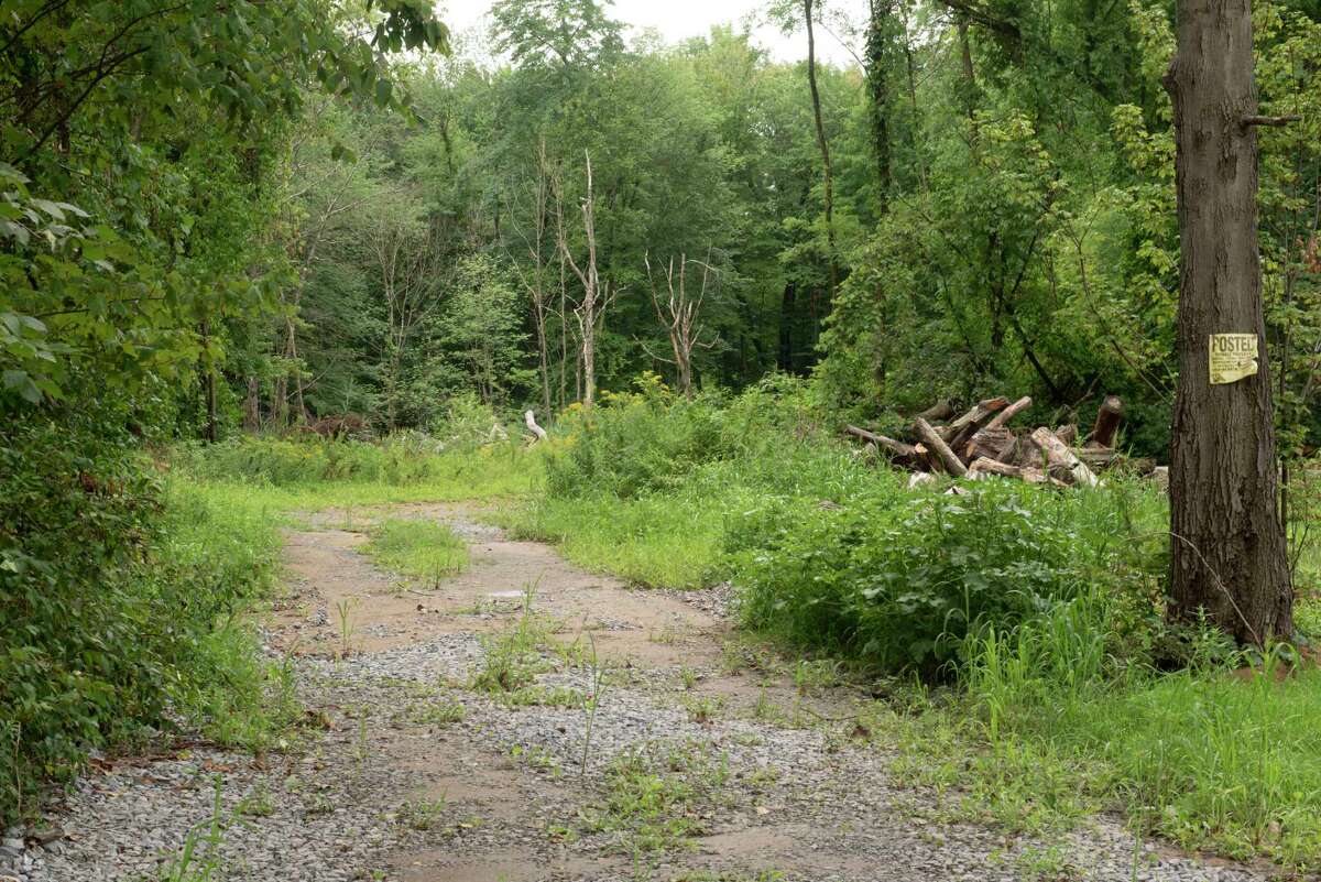 Area where Hughes Energy wants to build an EcoPark plant off Route 146 on Friday, Aug. 5, 2022 in Halfmoon, N.Y.
