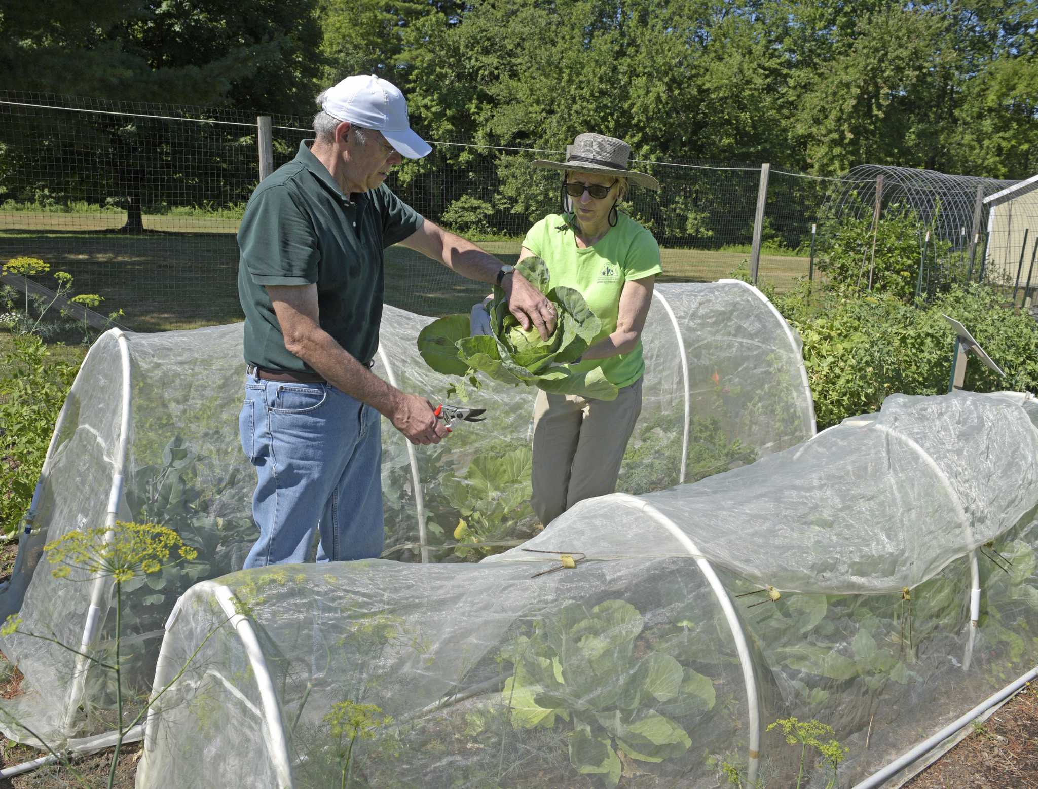UConns agriculture, garden programs to be forced out of Bethel site Something isnt right