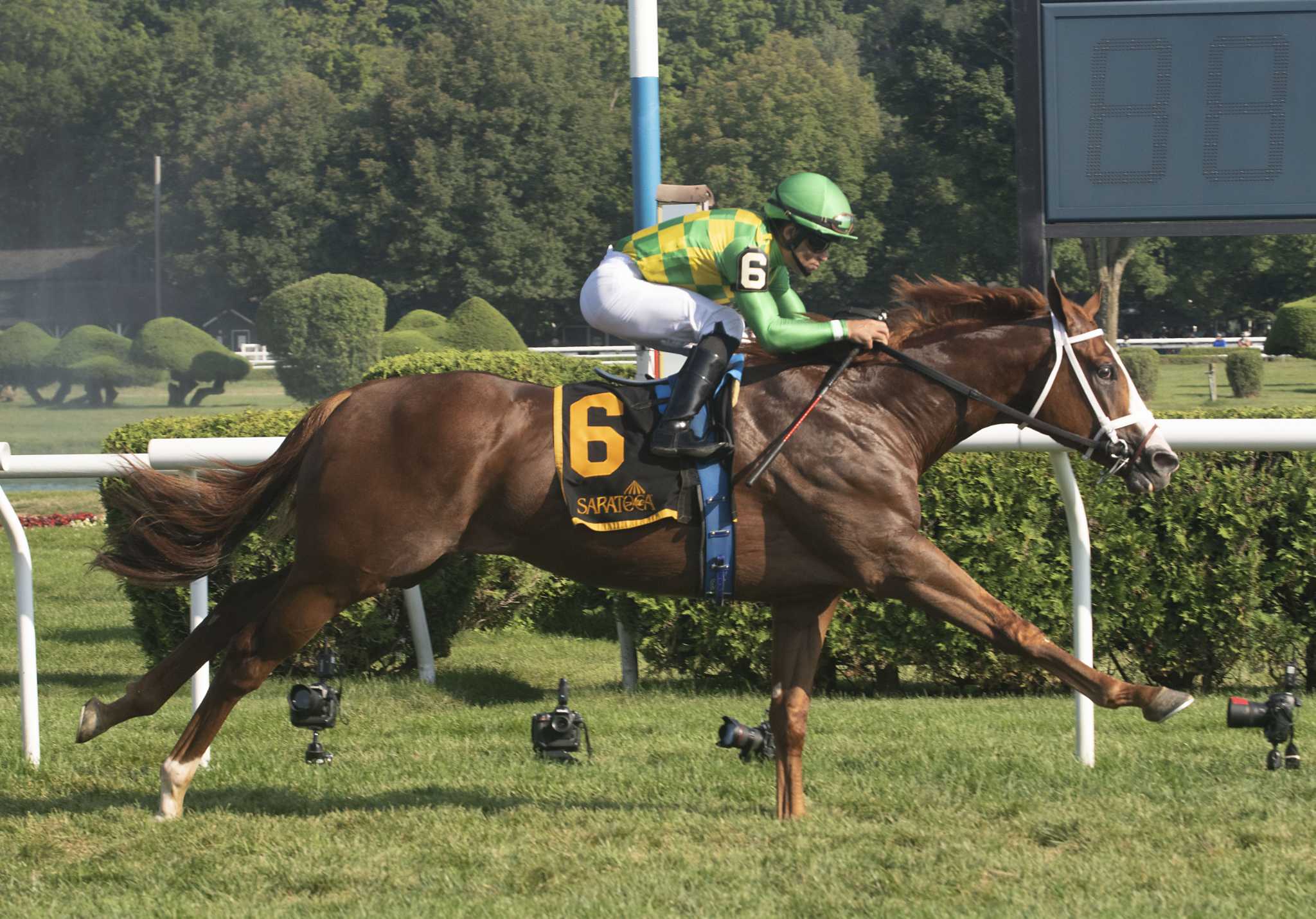 Ready to Purrform does, winning Hall of Fame Stakes - Vimarsana News
