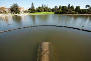 Oakland residents advised to avoid Lake Merritt water amid possible harmful algae bloom