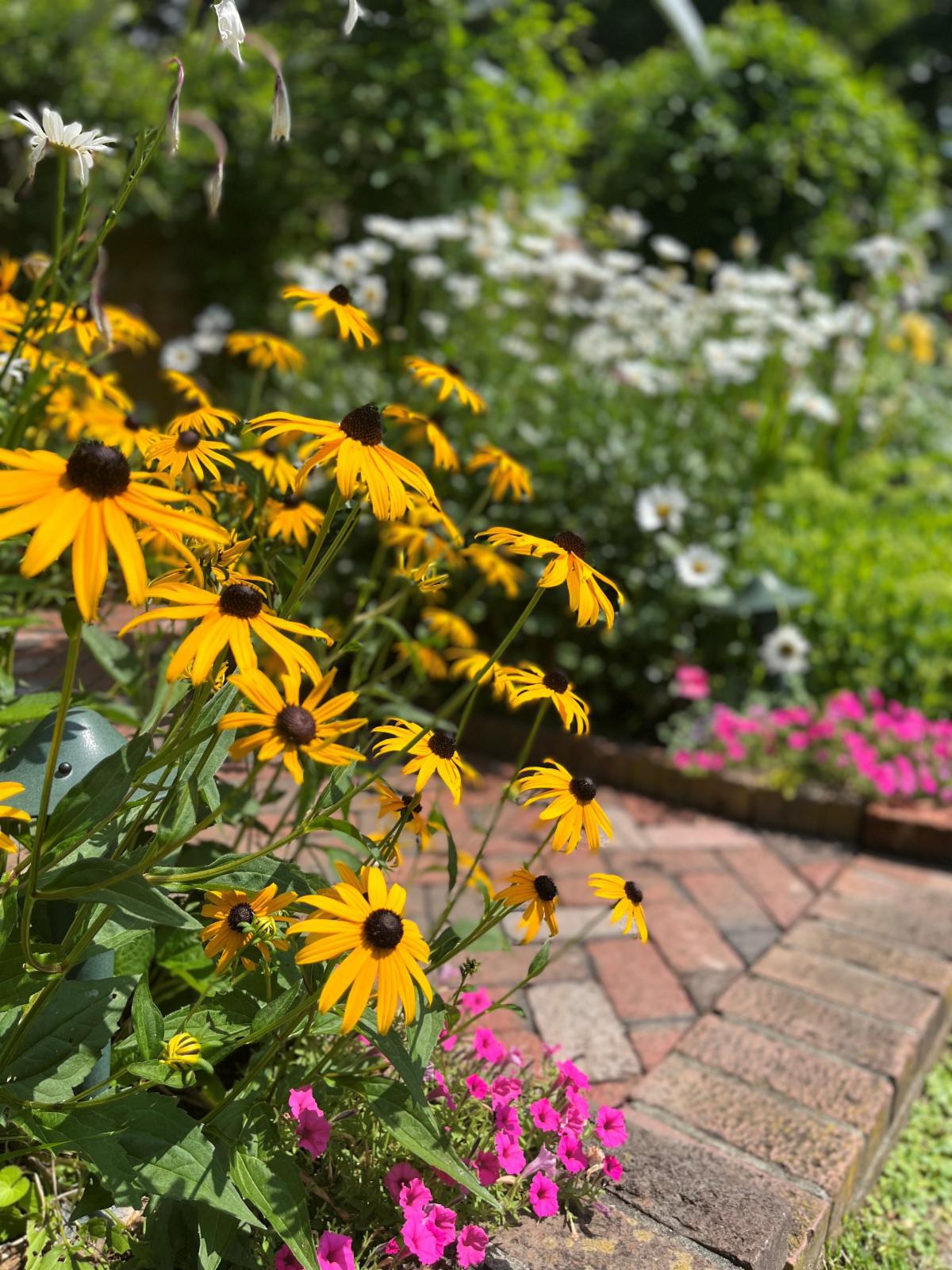 New exhibits, programs at Keeler Tavern Museum in Ridgefield - Vimarsana News