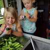Niki Stilson of Stilson Family Farms often enlists the help of her young kids with her canning projects which have yielded hundreds of cans of different preserved foods like fruits, vegetables, jams and sauces.