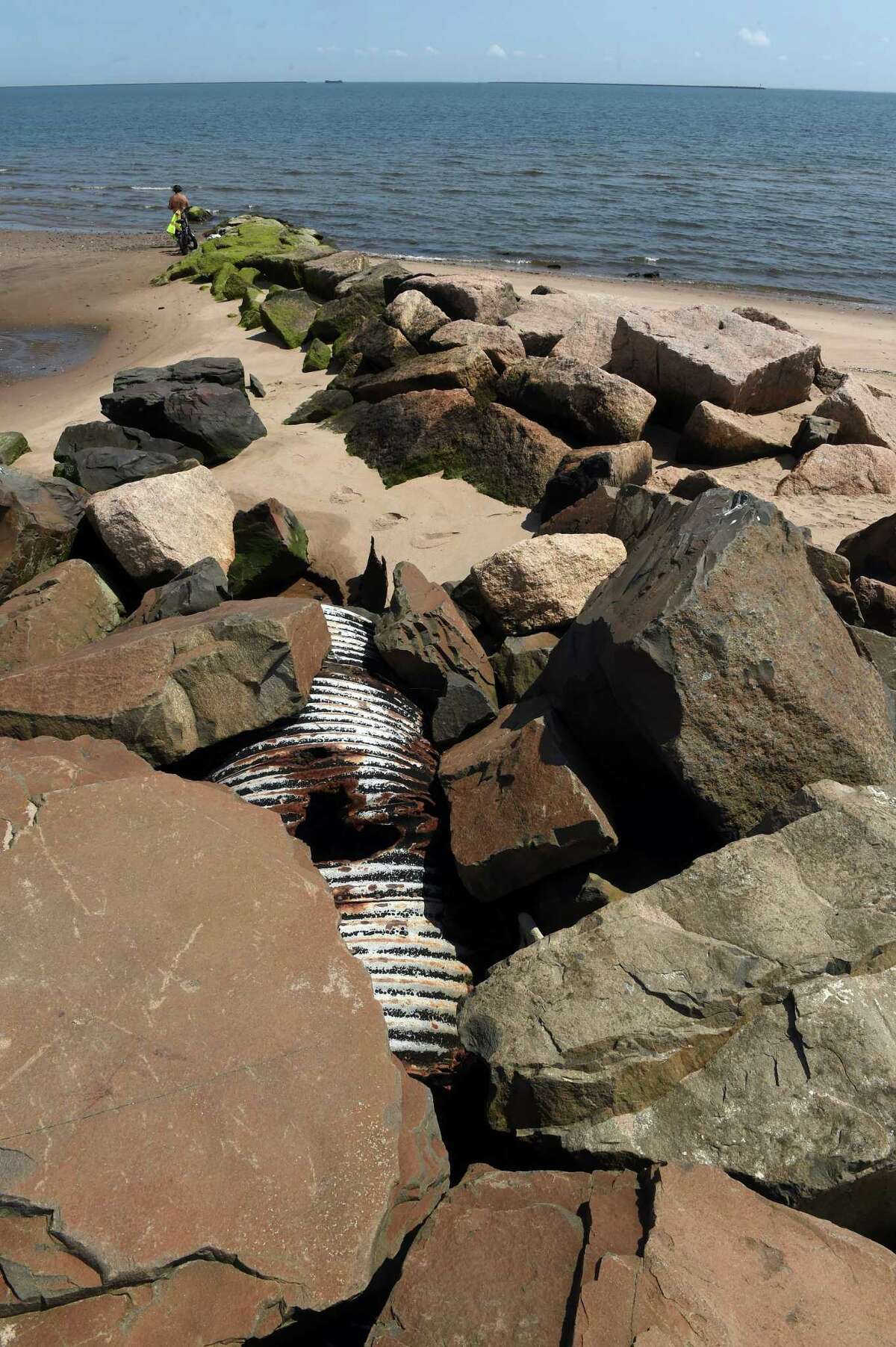 An outflow pipe at the beach near Lake Street and Ocean Avenue in West Haven photographed on Aug. 8, 2022.