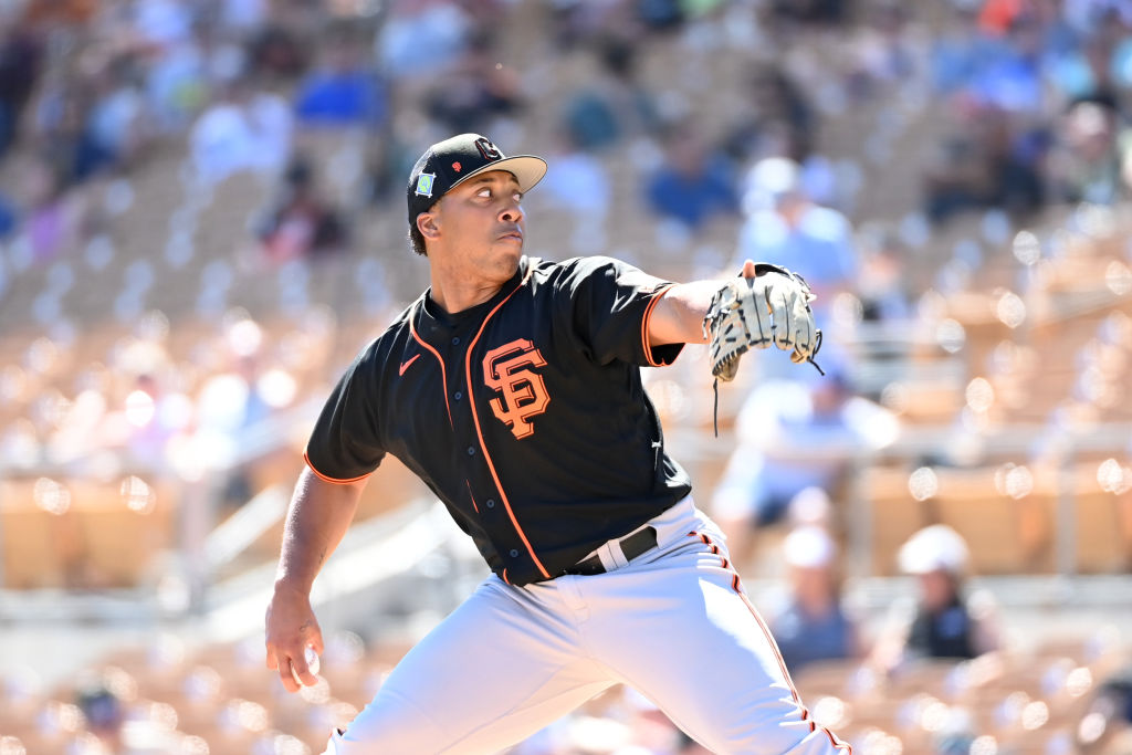 Pitcher recently in Giants system says he is gay