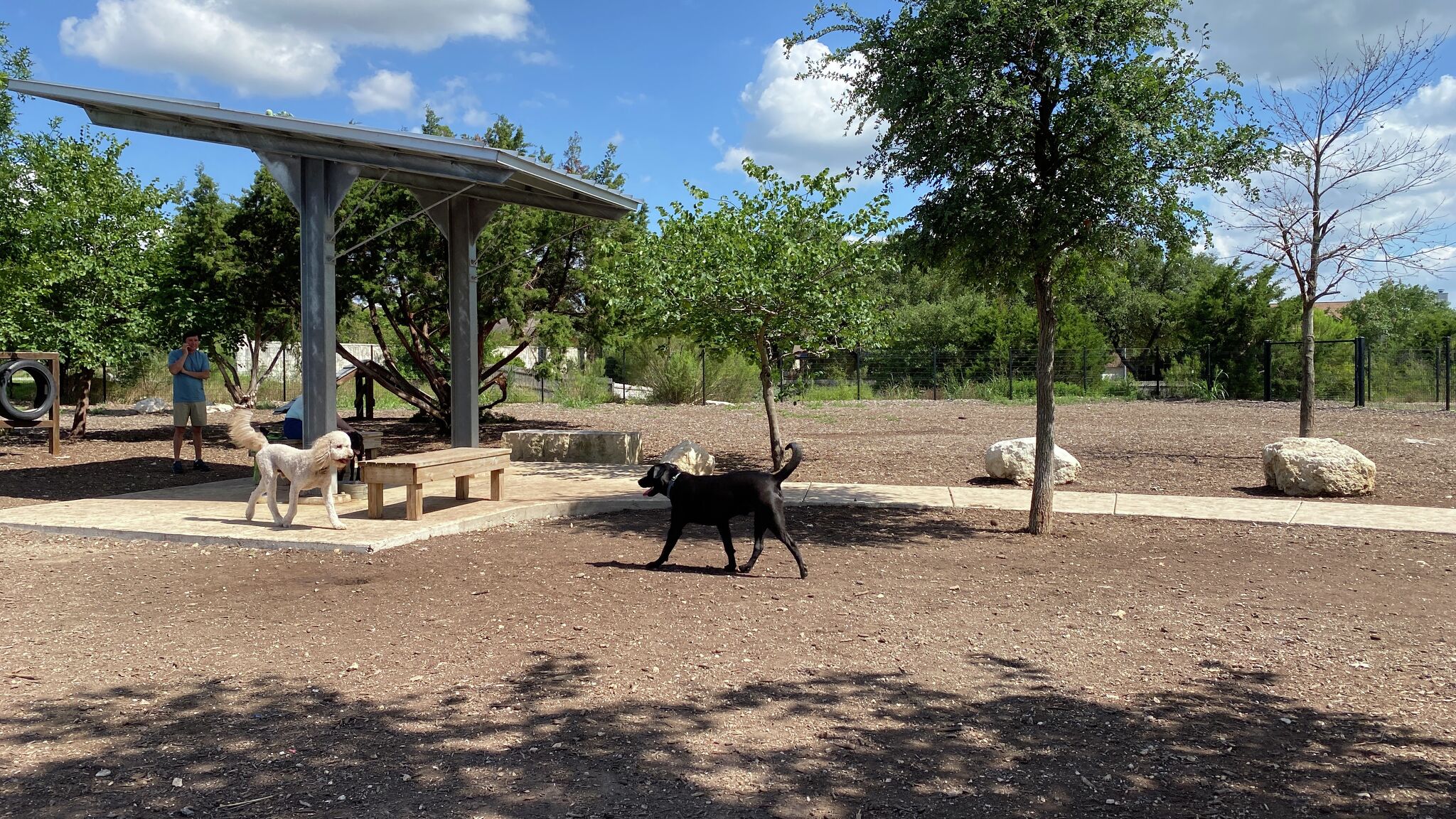 San Antonio area dog parks