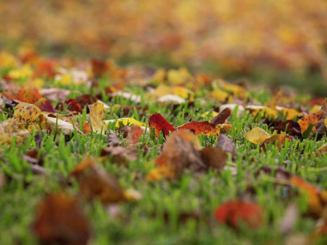 When does fall start? Your autumnal questions, answered