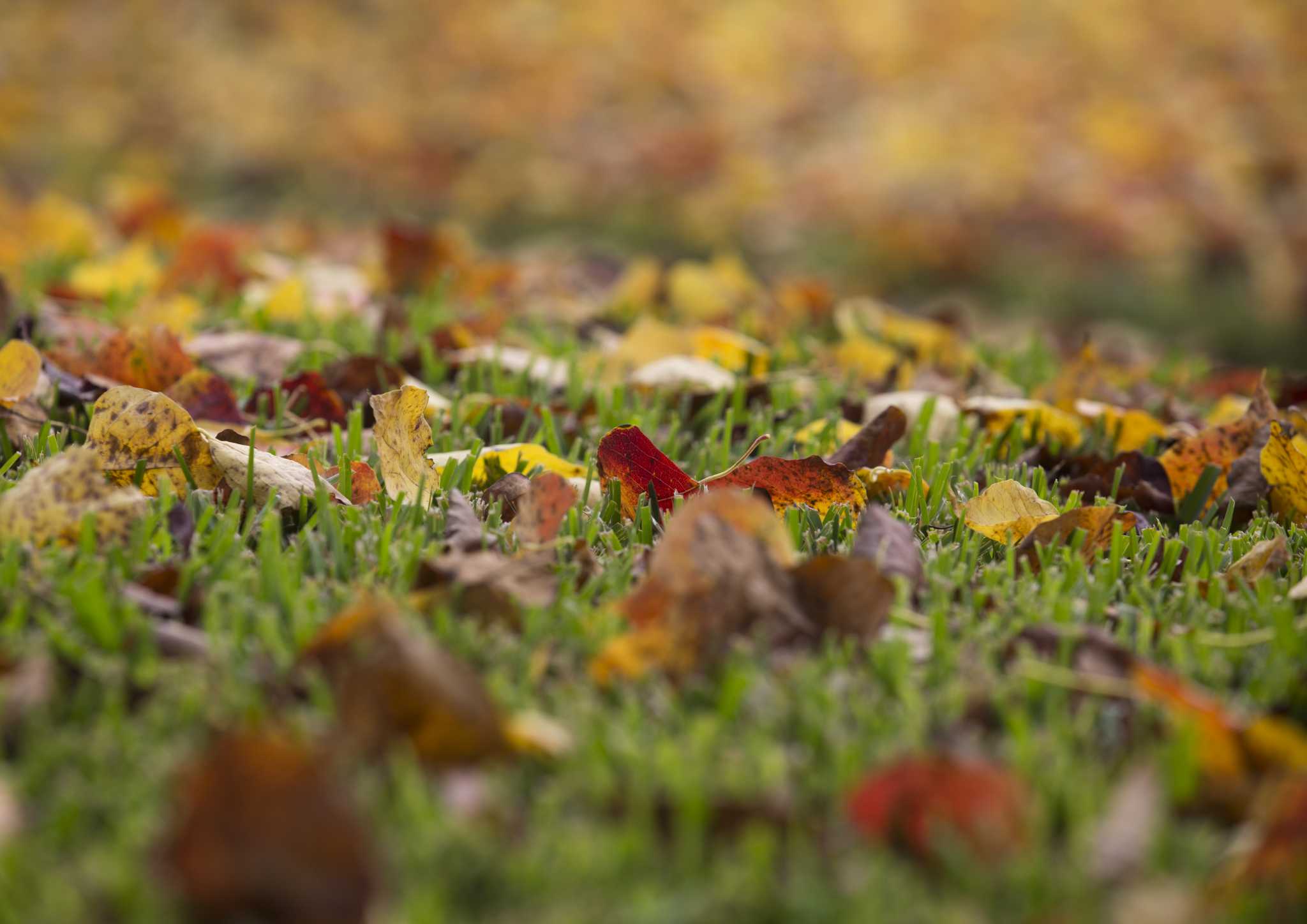 When does fall start? Your autumnal questions, answered