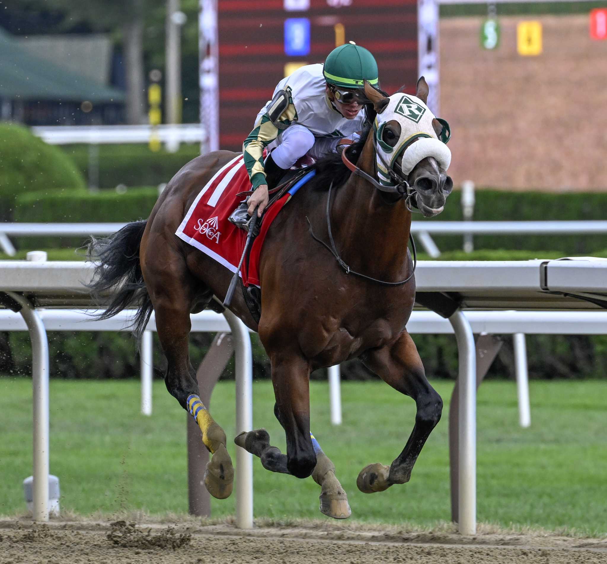 Isolate gives trainer Amoss his 4,000th win - Vimarsana News
