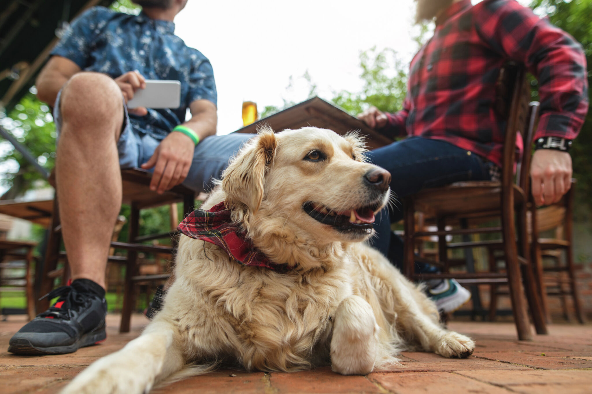 Austin’s Arboretum to host 4th Annual Pups & Pints in Texas