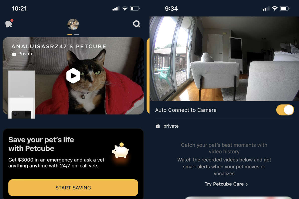 The homescreen on the Petcube app; when you click into your device in the Petcube smartphone app app.