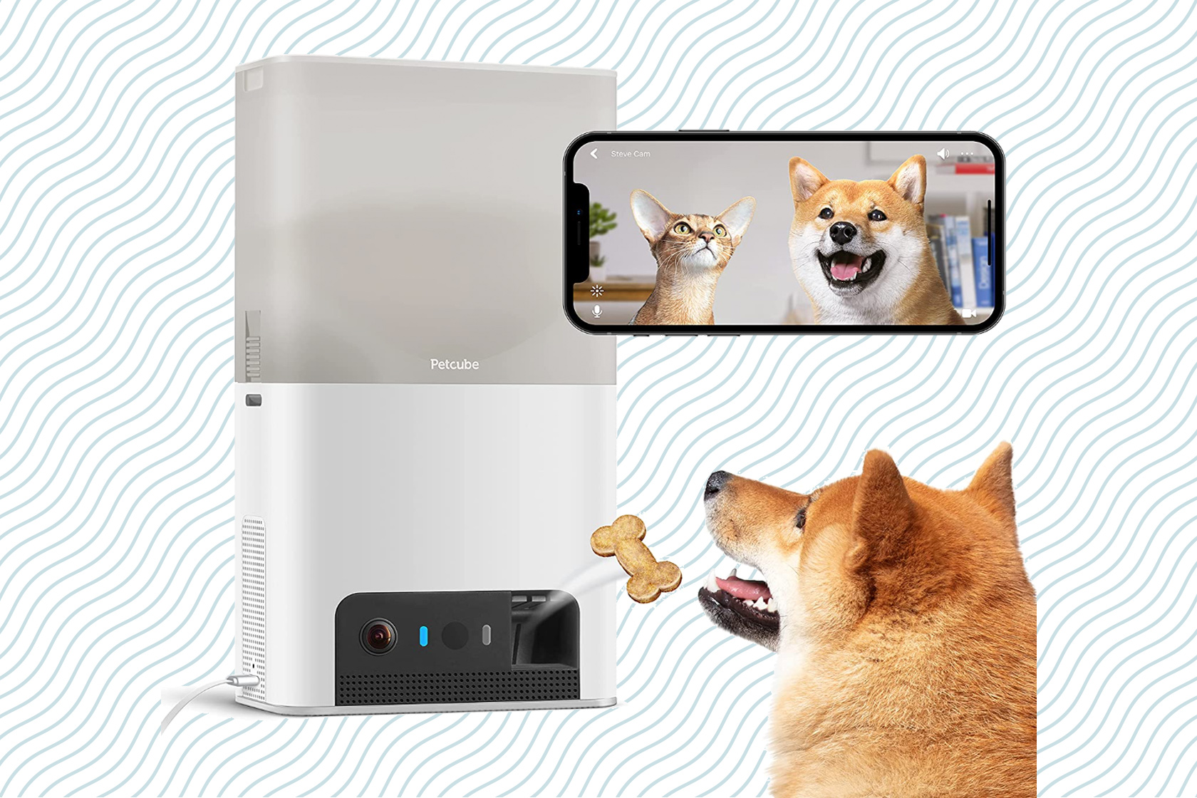 I got the Wopet Smart Pet Camera & Treat Dispenser - Here's My Review