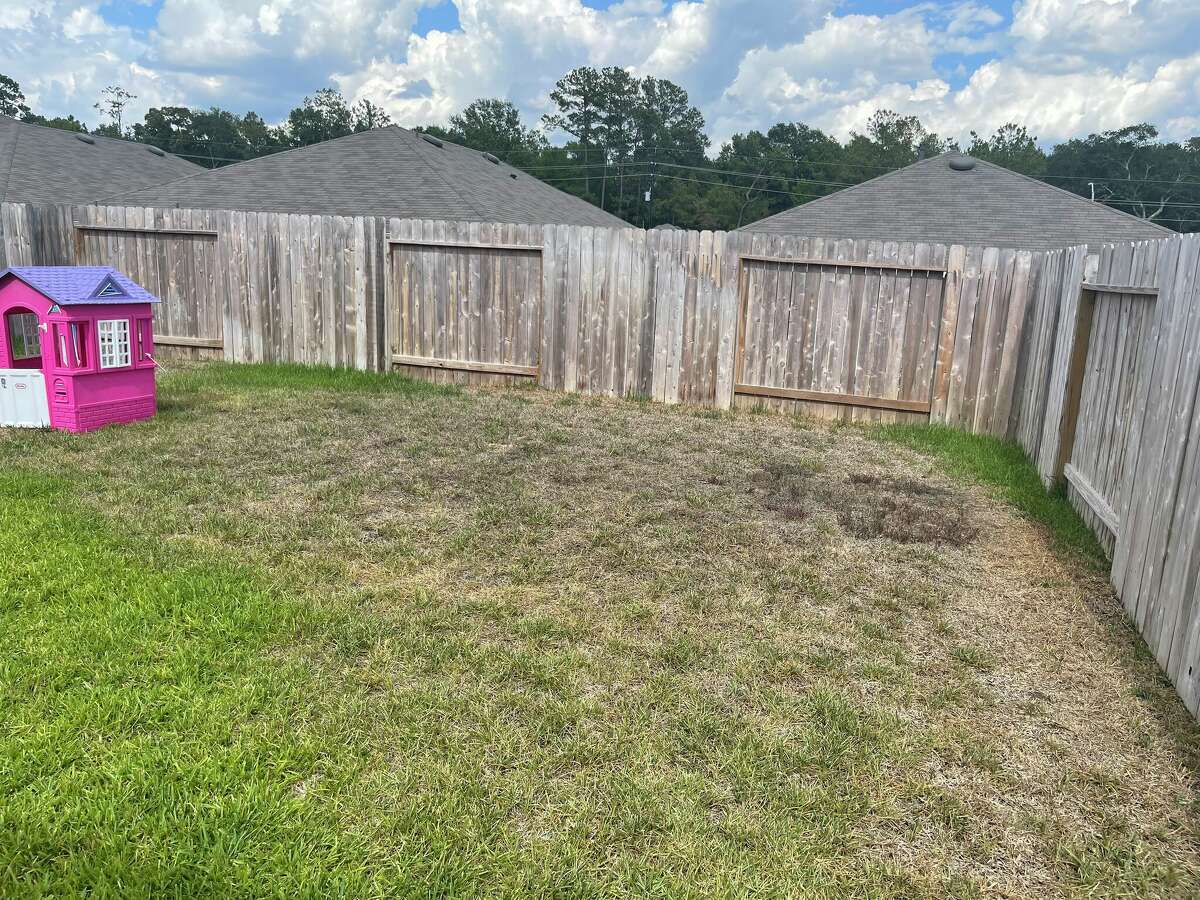 Mill Creek resident Bridgit Spencer told the Houston Chronicle that she calls her lawn "hay" as most of it is dead and makes 'hay-like' noises when walking over it. Some residents of the subdivision have stopped using their sprinklers to combat skyrocketing water bills.