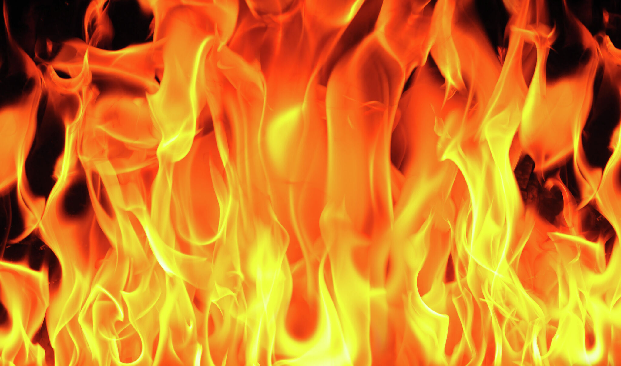 Woman sentenced for trying to burn down store during 2020 protest - Vimarsana News