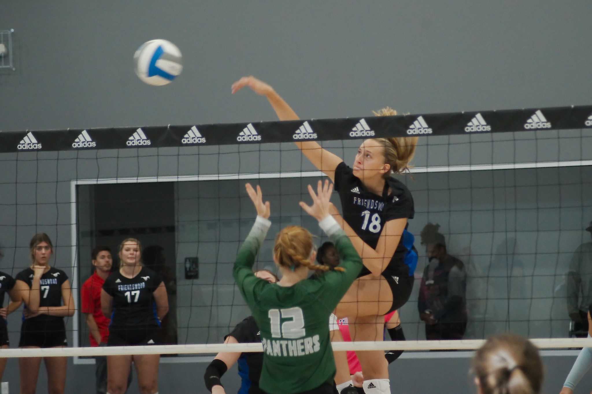 High school volleyball: Houston's top performers for Sept. 12-17