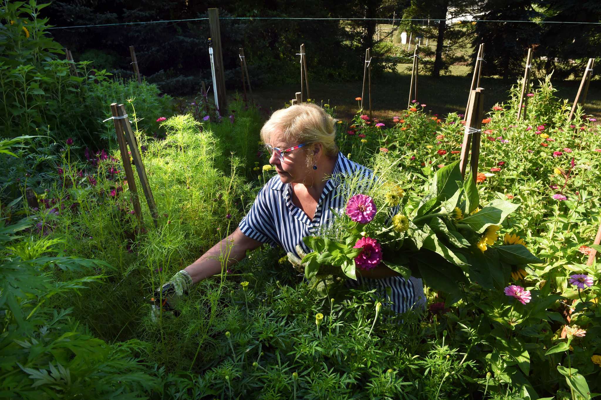 Madison woman gives away 'buckets of blooms' to nurses and teachers - Vimarsana News